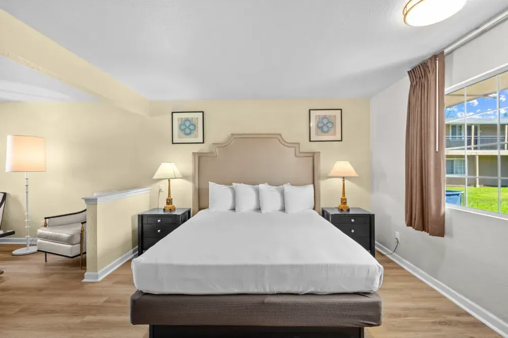 King Studio Suite, view 3