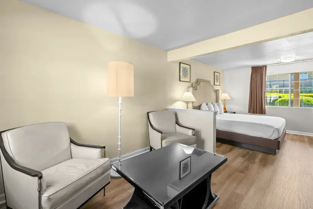 King Studio Suite, view 4